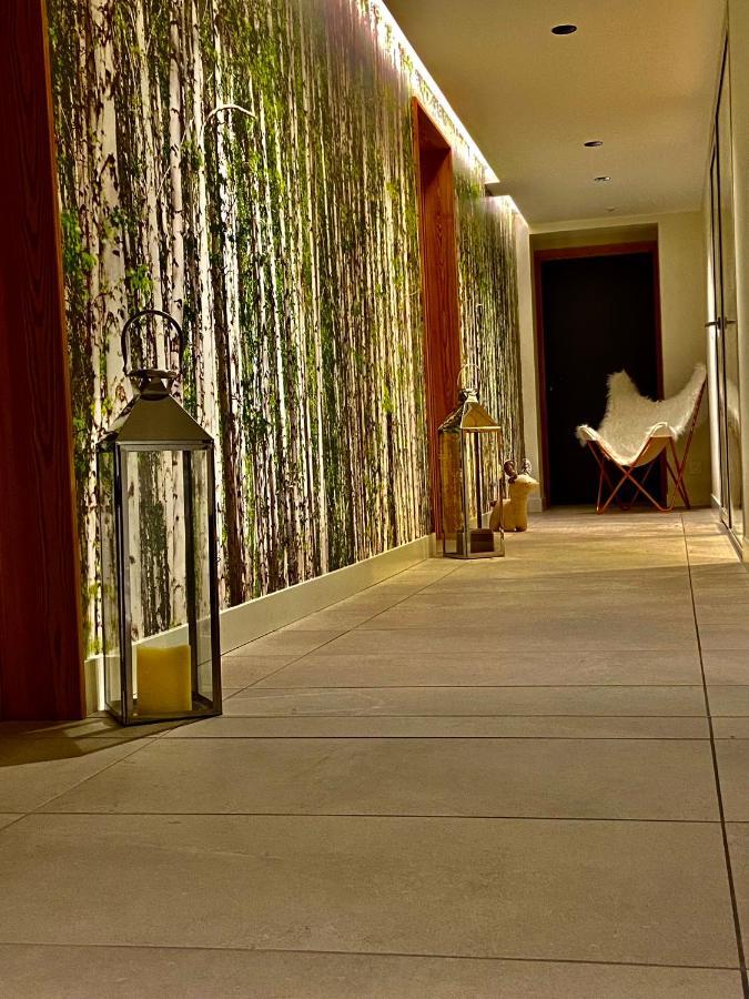 Chalet Pleine Vue & Spa 샤모니 외부 사진