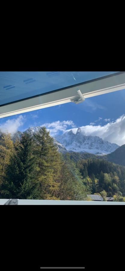 Chalet Pleine Vue & Spa 샤모니 외부 사진