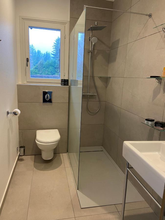 Chalet Pleine Vue & Spa 샤모니 외부 사진