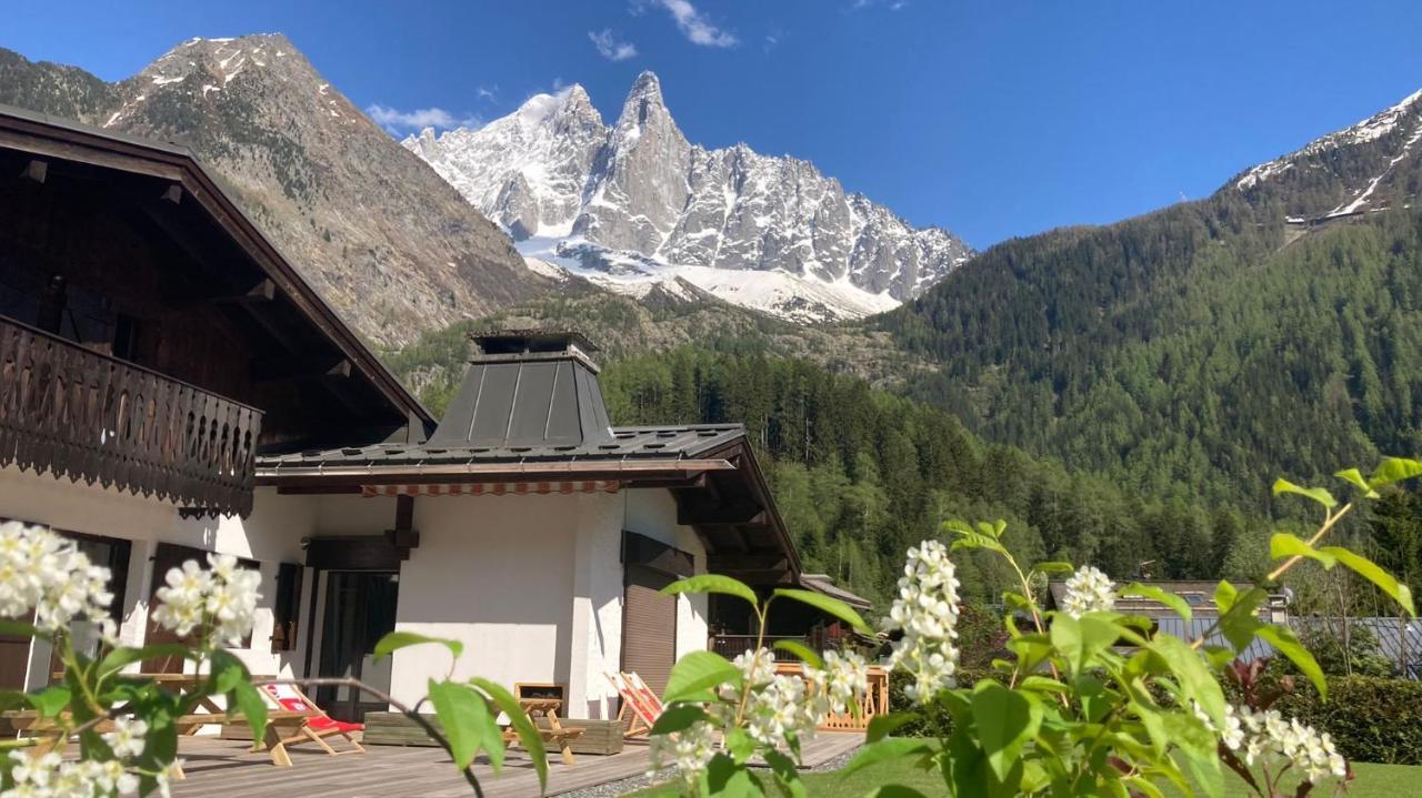 Chalet Pleine Vue & Spa 샤모니 외부 사진